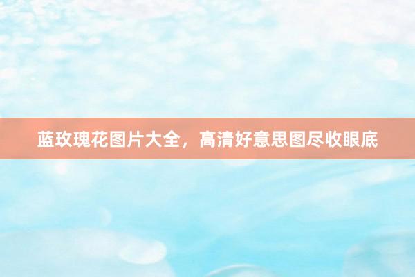 蓝玫瑰花图片大全，高清好意思图尽收眼底