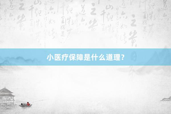 小医疗保障是什么道理？