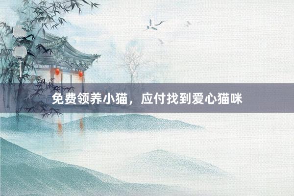 免费领养小猫，应付找到爱心猫咪