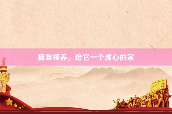 猫咪领养，给它一个虚心的家